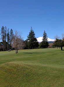 Ruapehu Views Motel - Your perfect base for the Turoa Skifield & Ohakune
